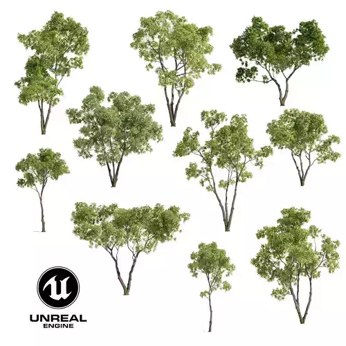 Tree Set 01 - UE5 and Others Low-poly 3D model