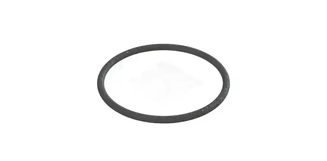 O Ring Vedabras 12862