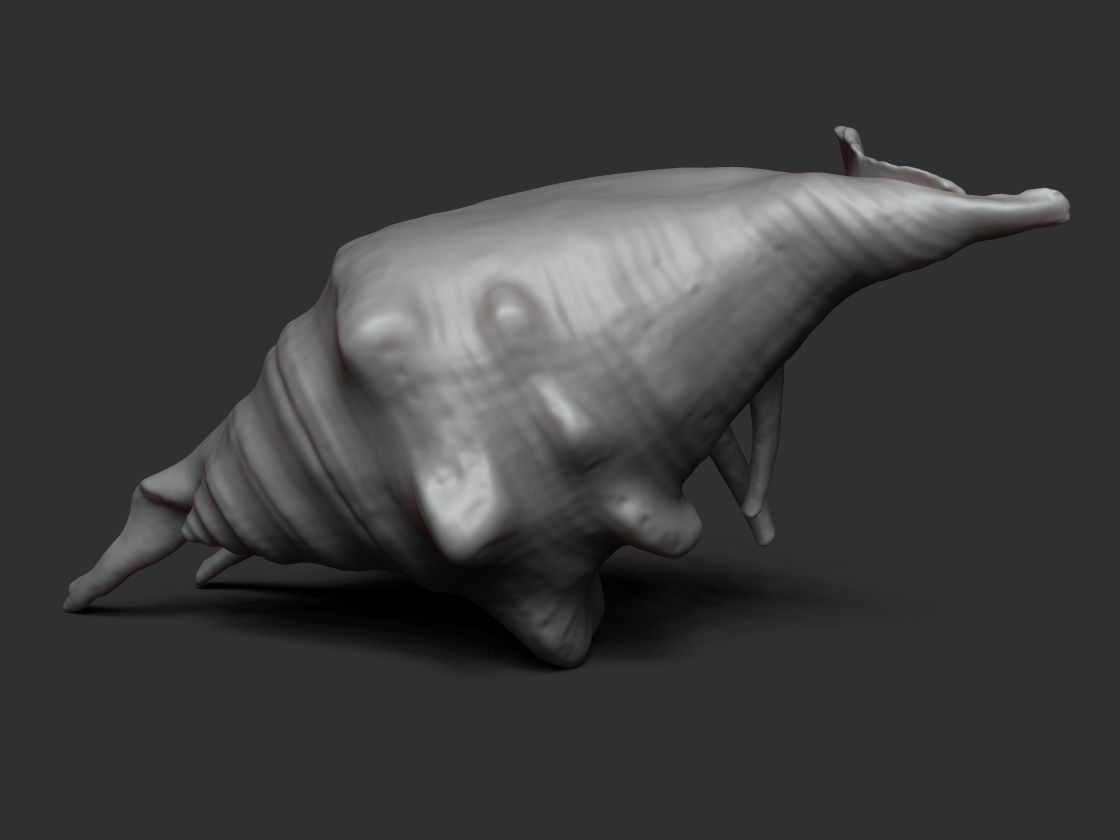 Seashell - 3D scan - cleaned 3D print model_8