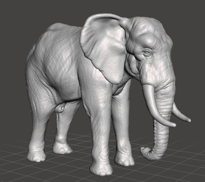 AFRICAN ELEPHANT REALISTIC FIGURE MODEL ANIMAL CREATURE WILDLIFE 3D print model_4