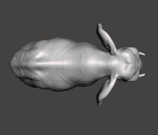 AFRICAN ELEPHANT REALISTIC FIGURE MODEL ANIMAL CREATURE WILDLIFE 3D print model_5