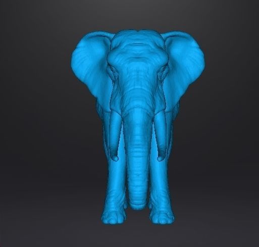 AFRICAN ELEPHANT REALISTIC FIGURE MODEL ANIMAL CREATURE WILDLIFE 3D print model_7