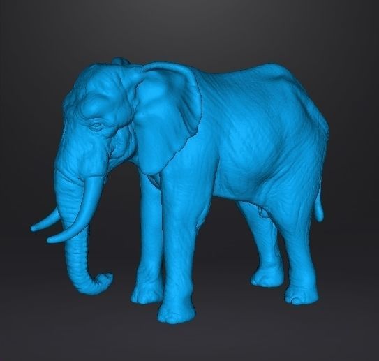 AFRICAN ELEPHANT REALISTIC FIGURE MODEL ANIMAL CREATURE WILDLIFE 3D print model_9