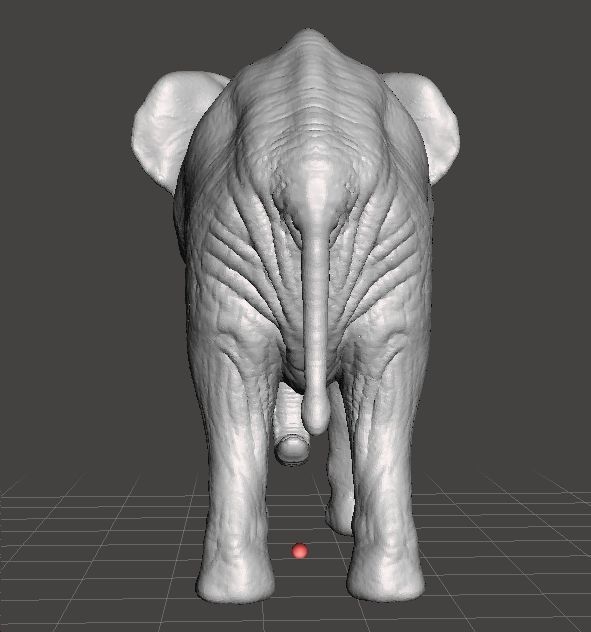 AFRICAN ELEPHANT REALISTIC FIGURE MODEL ANIMAL CREATURE WILDLIFE 3D print model_3