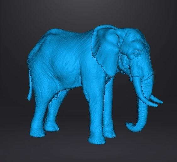 AFRICAN ELEPHANT REALISTIC FIGURE MODEL ANIMAL CREATURE WILDLIFE 3D print model_8