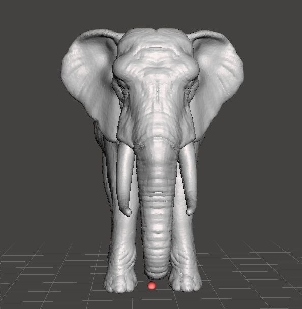 AFRICAN ELEPHANT REALISTIC FIGURE MODEL ANIMAL CREATURE WILDLIFE 3D print model_1