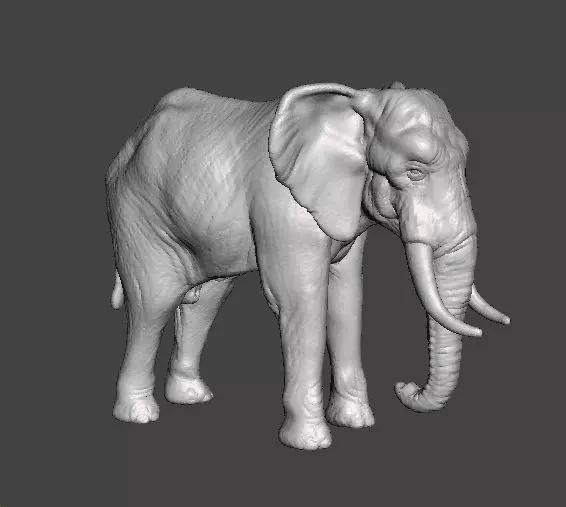 AFRICAN ELEPHANT REALISTIC FIGURE MODEL ANIMAL CREATURE WILDLIFE 3D print model_0