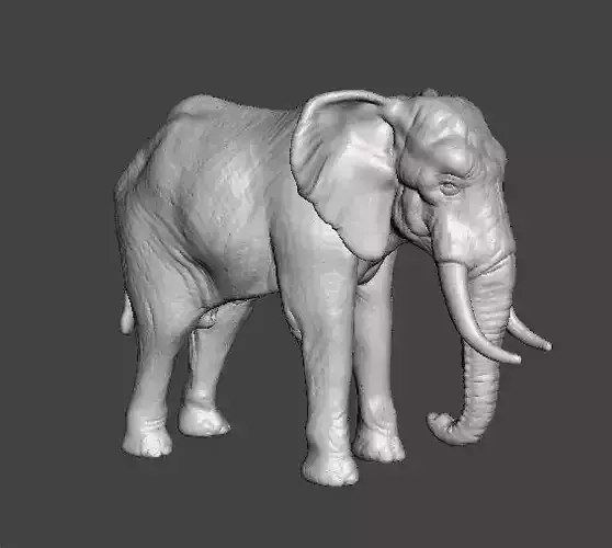 AFRICAN ELEPHANT REALISTIC FIGURE MODEL ANIMAL CREATURE WILDLIFE 3D print model