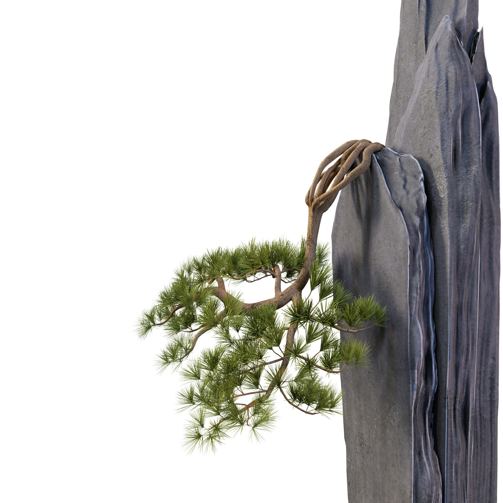 Bonsai 01 - PBR - Midpoly - HQ 3D model_5