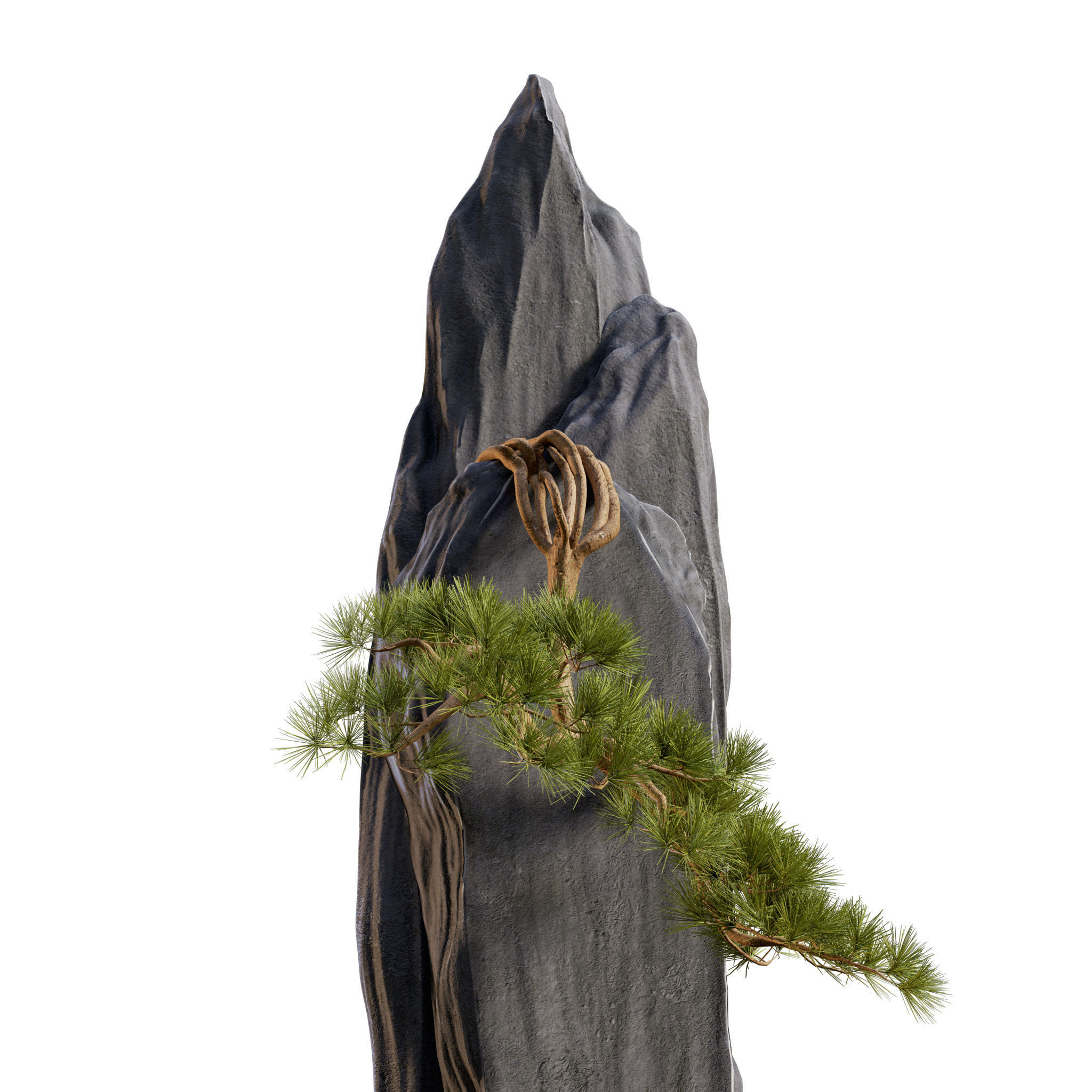 Bonsai 01 - PBR - Midpoly - HQ 3D model_8