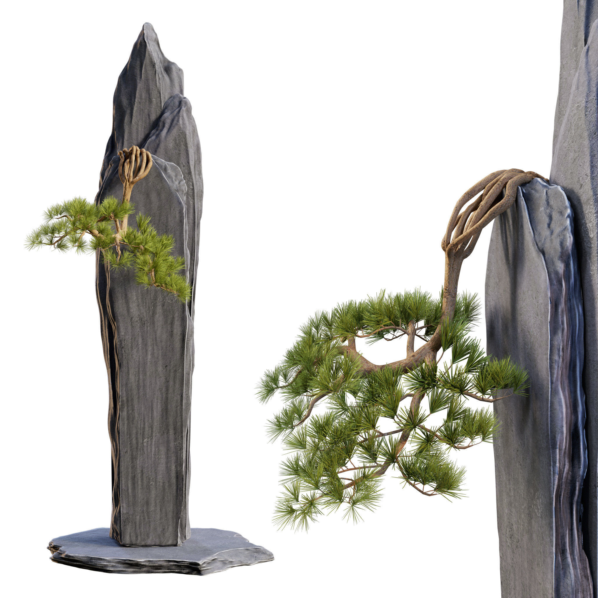 Bonsai 01 - PBR - Midpoly - HQ 3D model_3