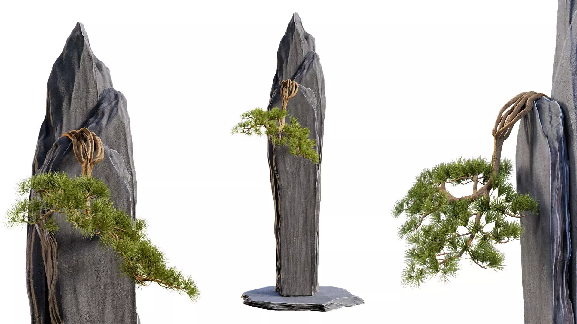 Bonsai 01 - PBR - Midpoly - HQ 3D model_0