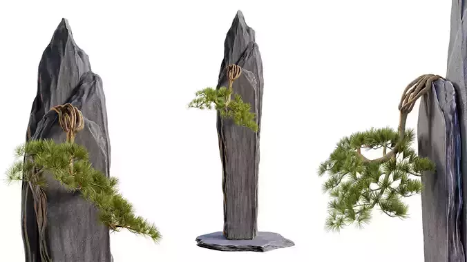 Bonsai 01 - PBR - Midpoly - HQ 3D model