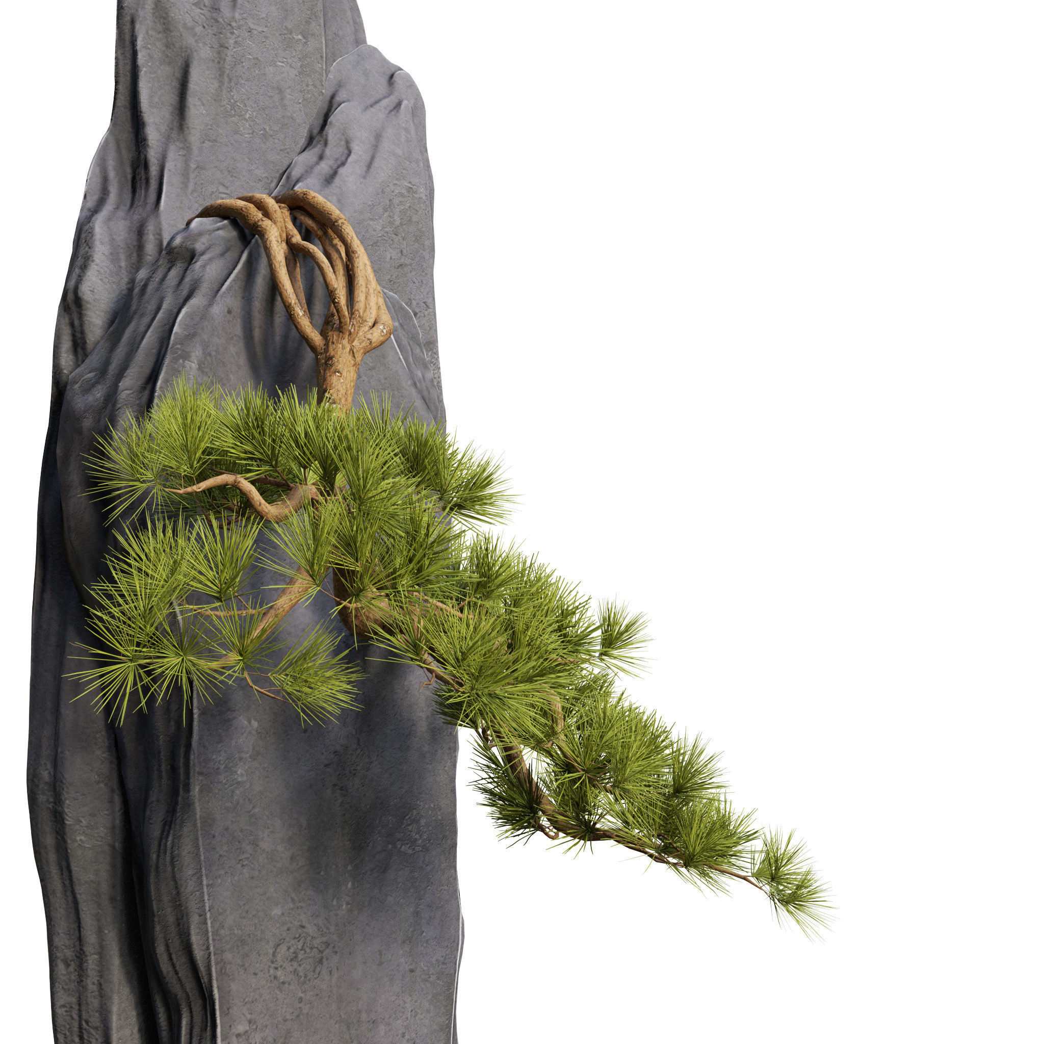 Bonsai 01 - PBR - Midpoly - HQ 3D model_4