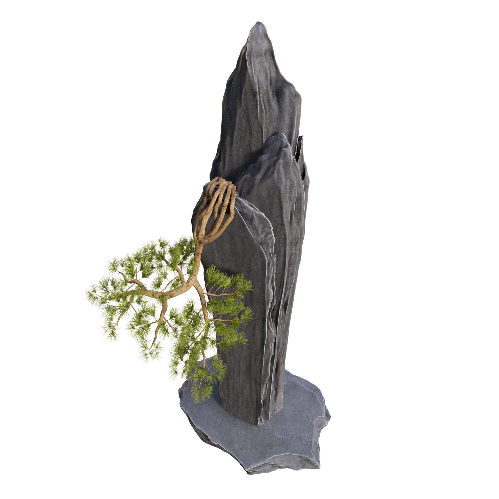 Bonsai 01 - PBR - Midpoly - HQ 3D model_6