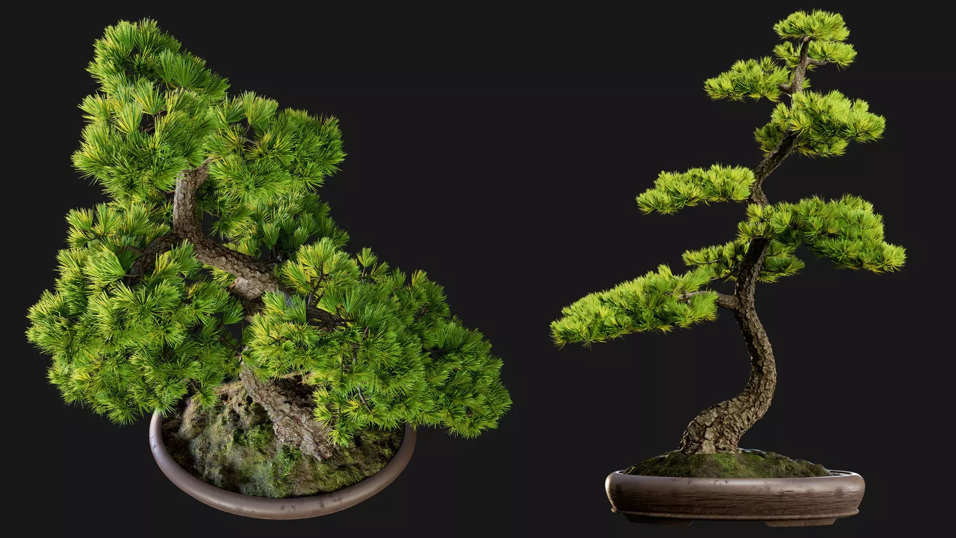 Bonsai 02 - PBR - Midpoly - HQ 3D model_0