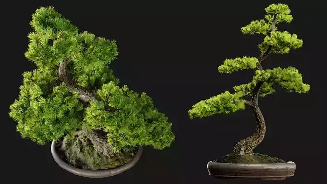 Bonsai 02 - PBR - Midpoly - HQ 3D model