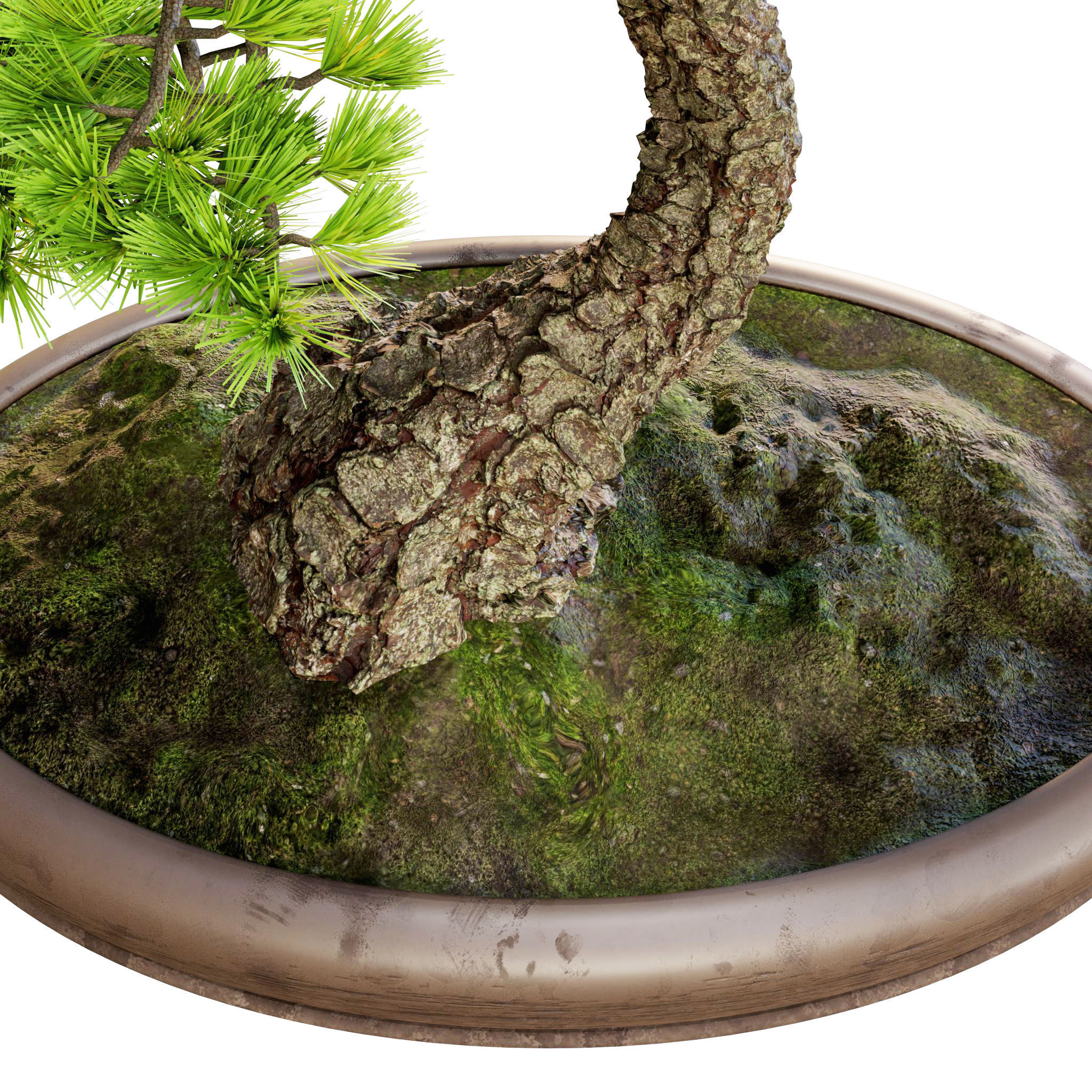 Bonsai 02 - PBR - Midpoly - HQ 3D model_5