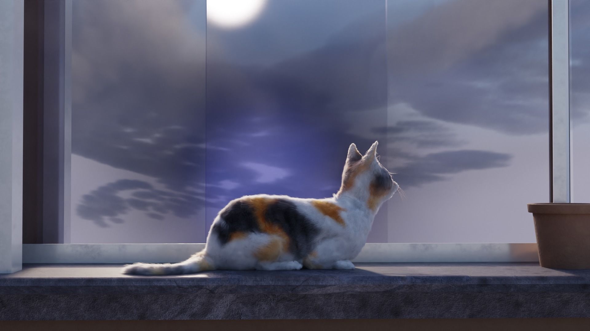 Cat white black calico tabby orange siamese sphynx etc 3D model_7