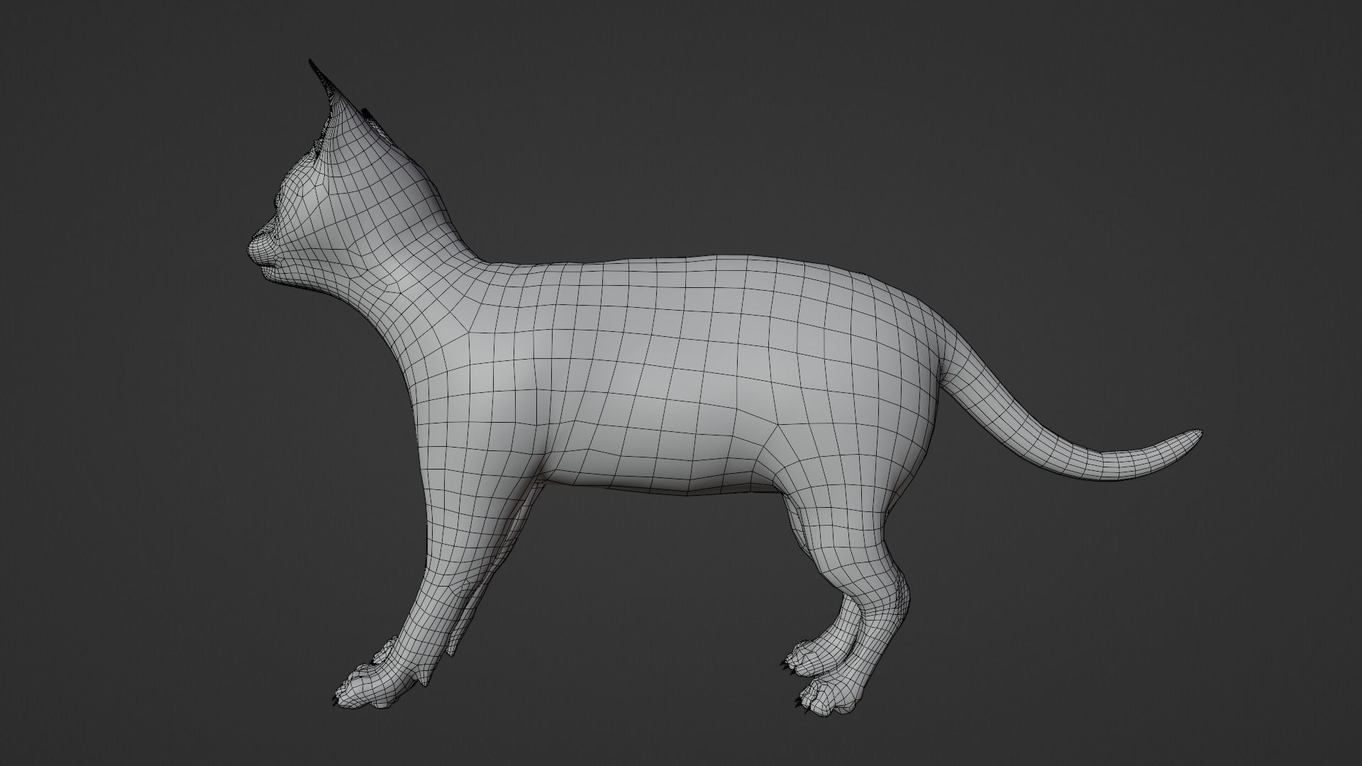 Cat white black calico tabby orange siamese sphynx etc 3D model_20