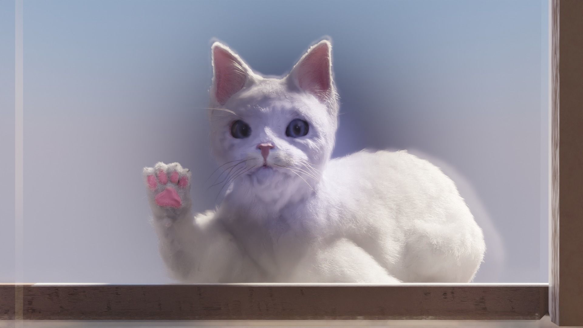 Cat white black calico tabby orange siamese sphynx etc 3D model_8