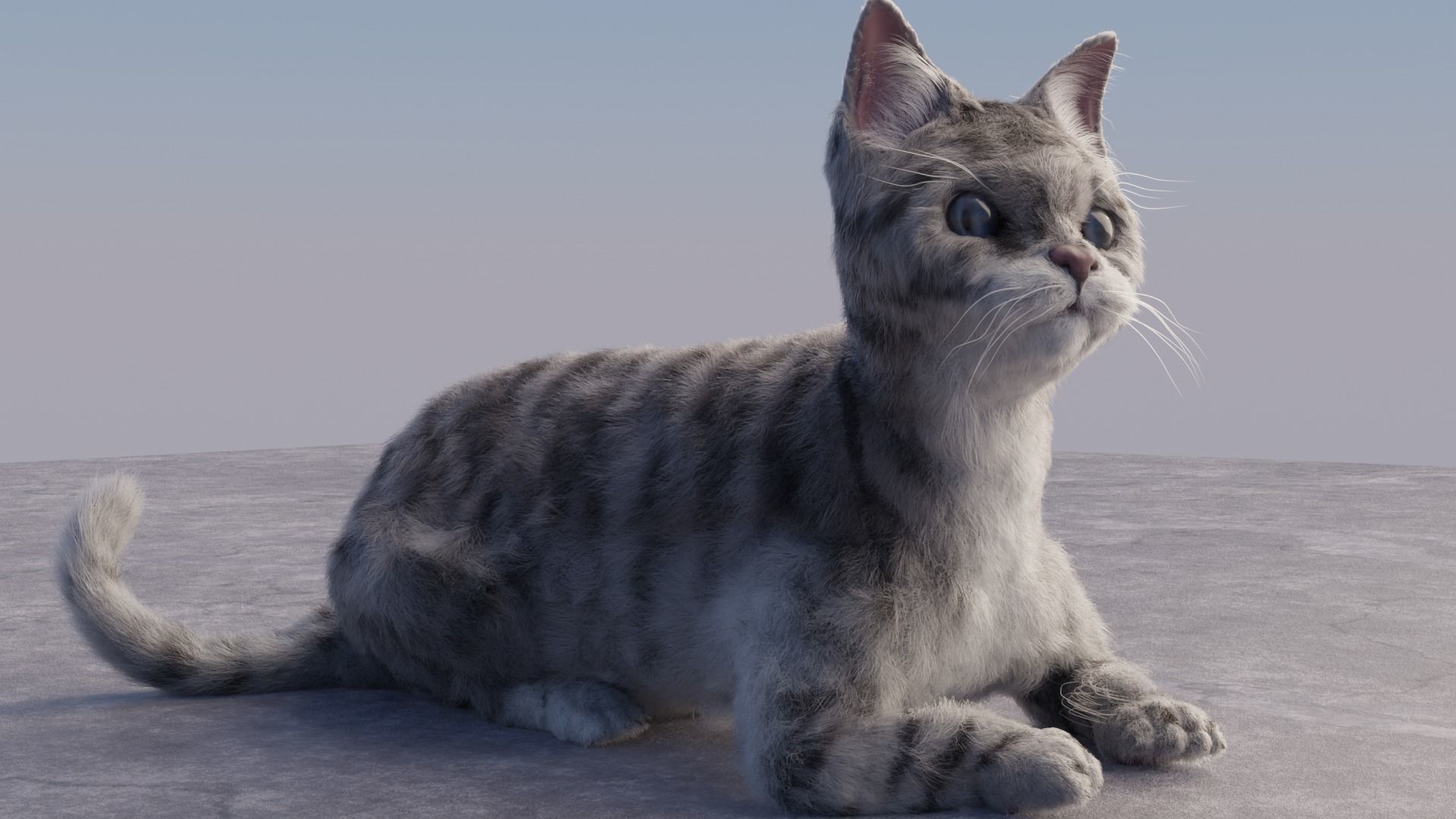 Cat white black calico tabby orange siamese sphynx etc 3D model_10