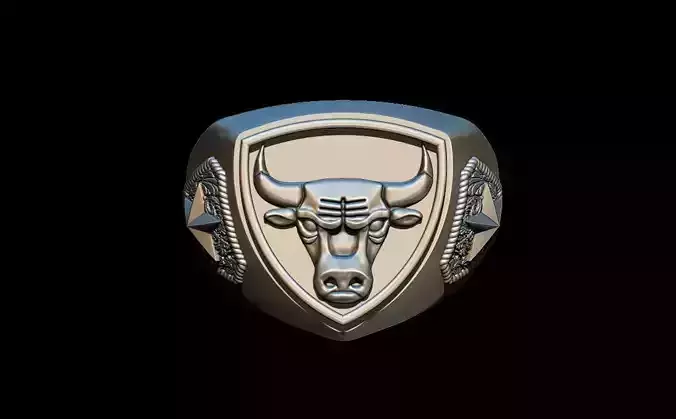 Chicago bulls ring 3D print model