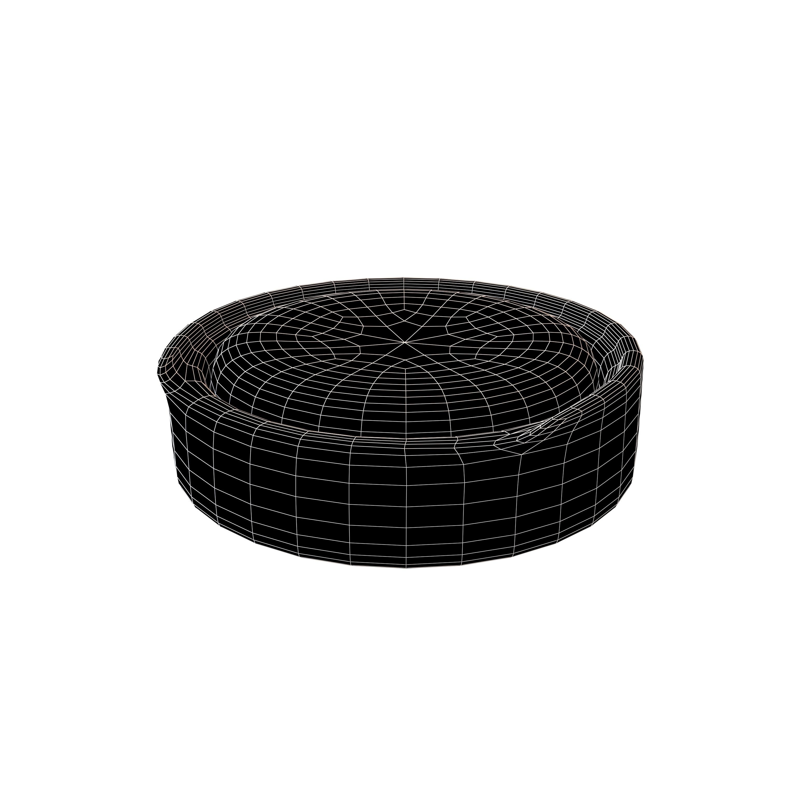 Pet Bed v1 002 Low-poly 3D model_5