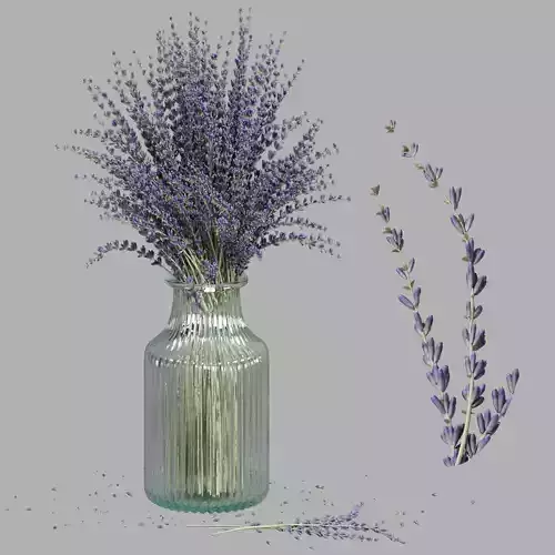 Flower In Vase  15 3D model