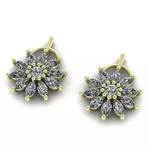 Earrings N011773