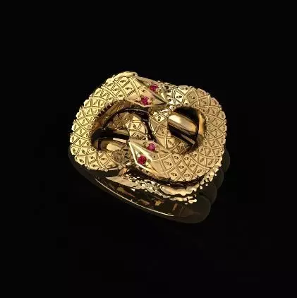 Ring of the Serpent N011734 3D print model_0