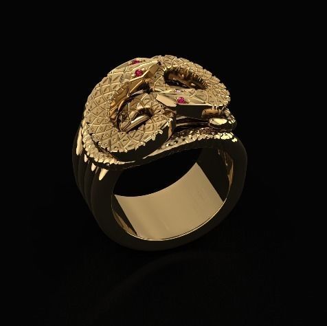 Ring of the Serpent N011734 3D print model_1