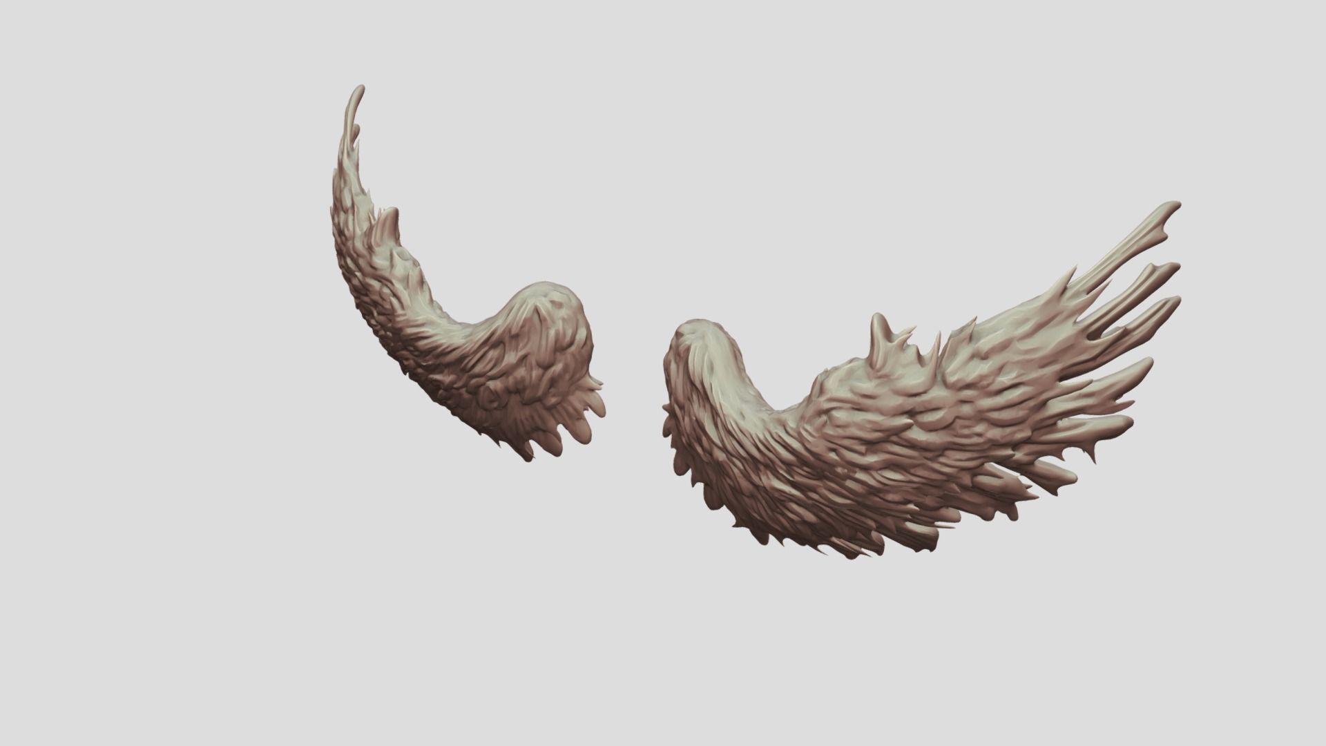 Feathered Bird or Angel Wings 3D model_1