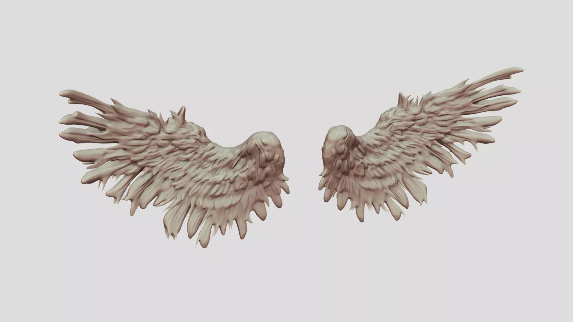 Feathered Bird or Angel Wings 3D model_0