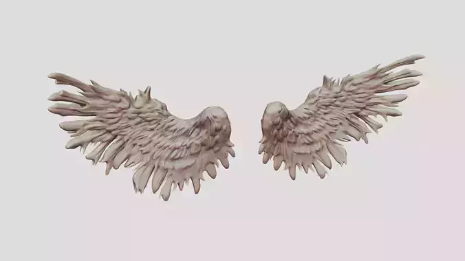 Feathered Bird or Angel Wings