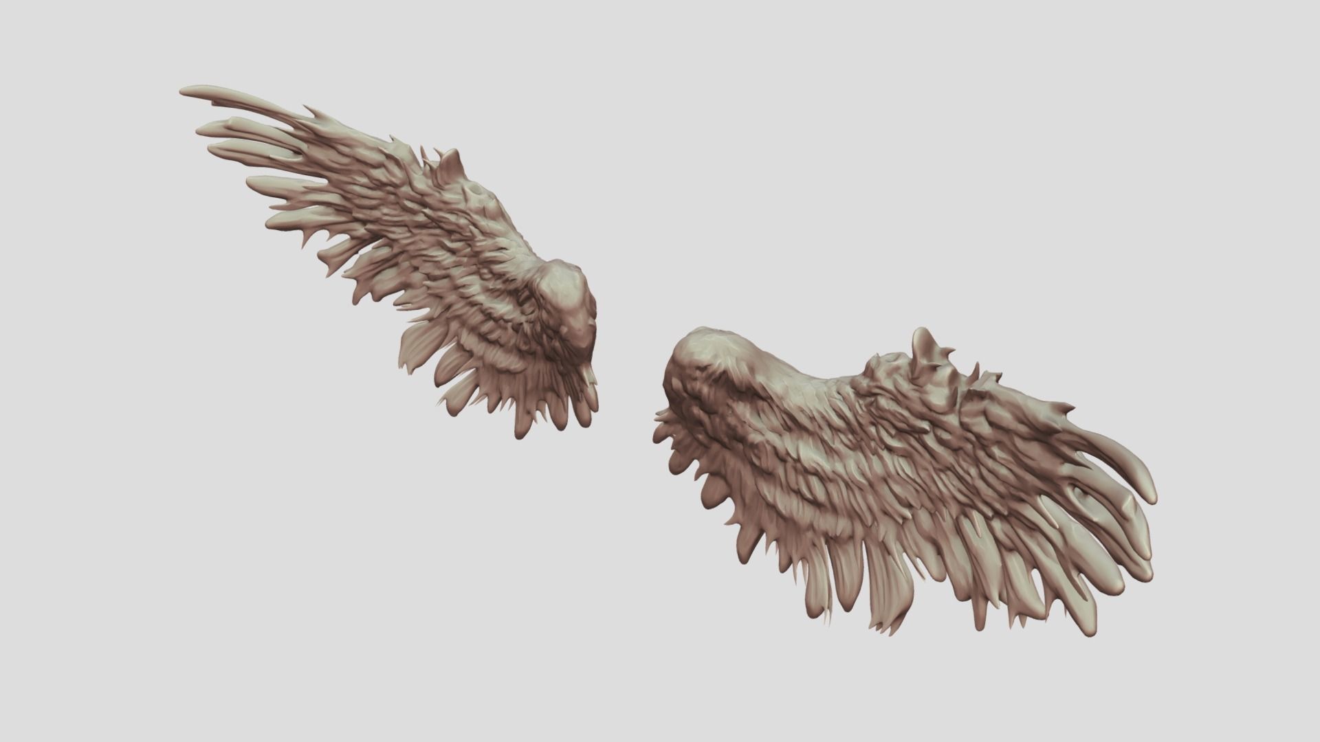 Feathered Bird or Angel Wings 3D model_2