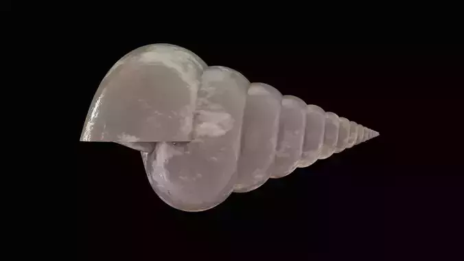 Seashell Low-poly 3D model