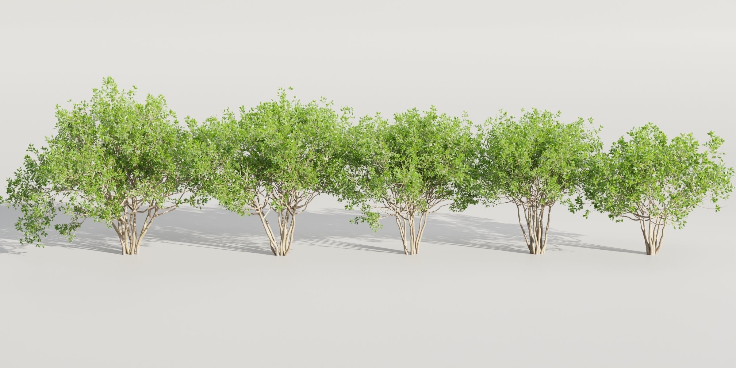 collection of bushes vol 164-Blender 3D model_1