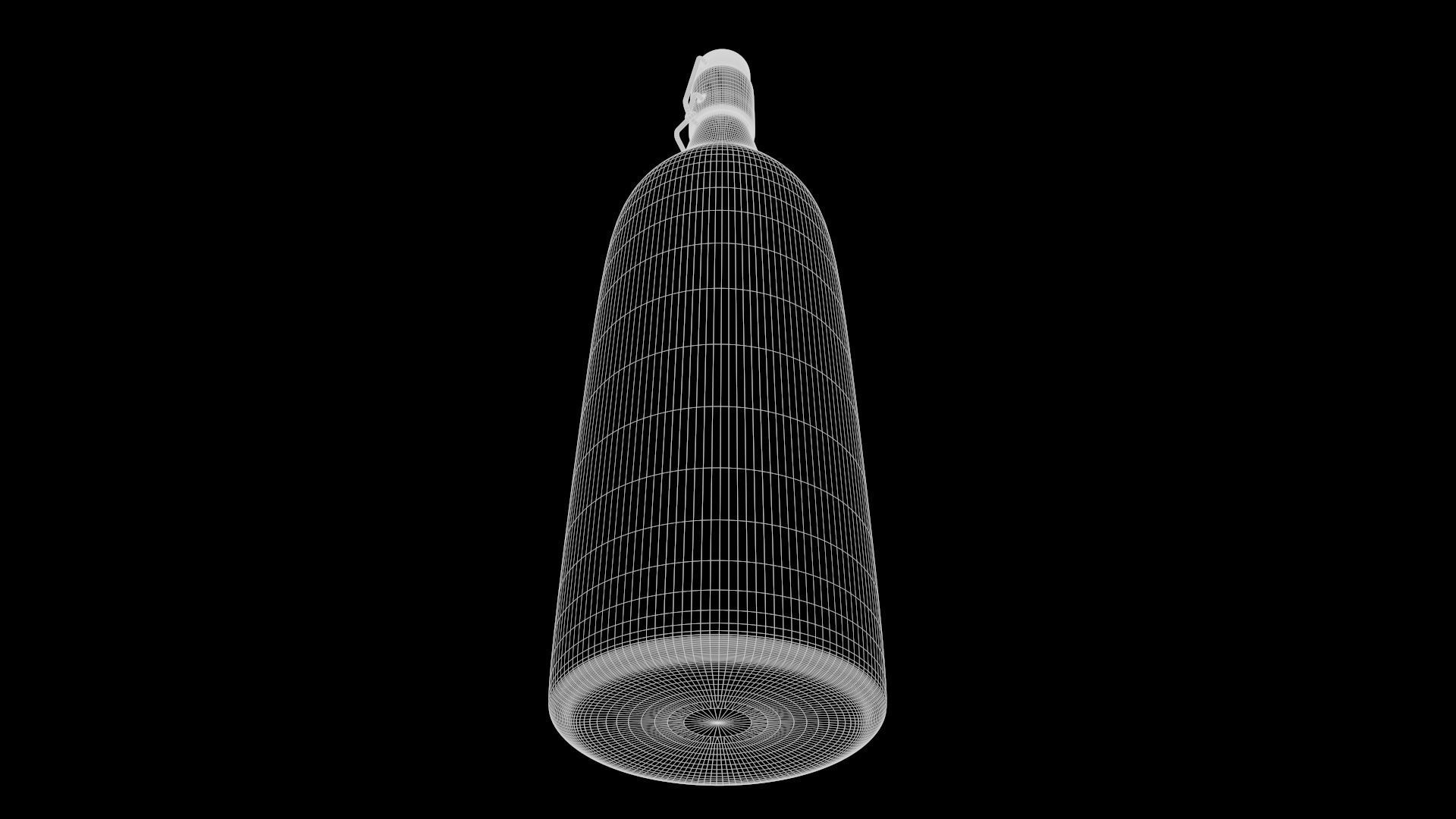 Glass Water Bottle 3D model_11