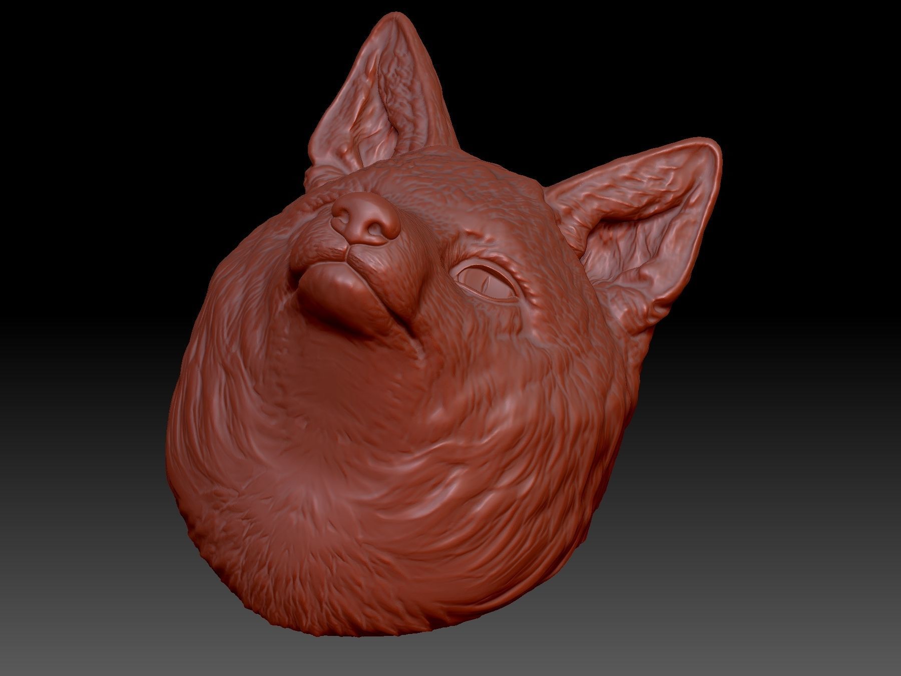 Fox Head 3D print model_3