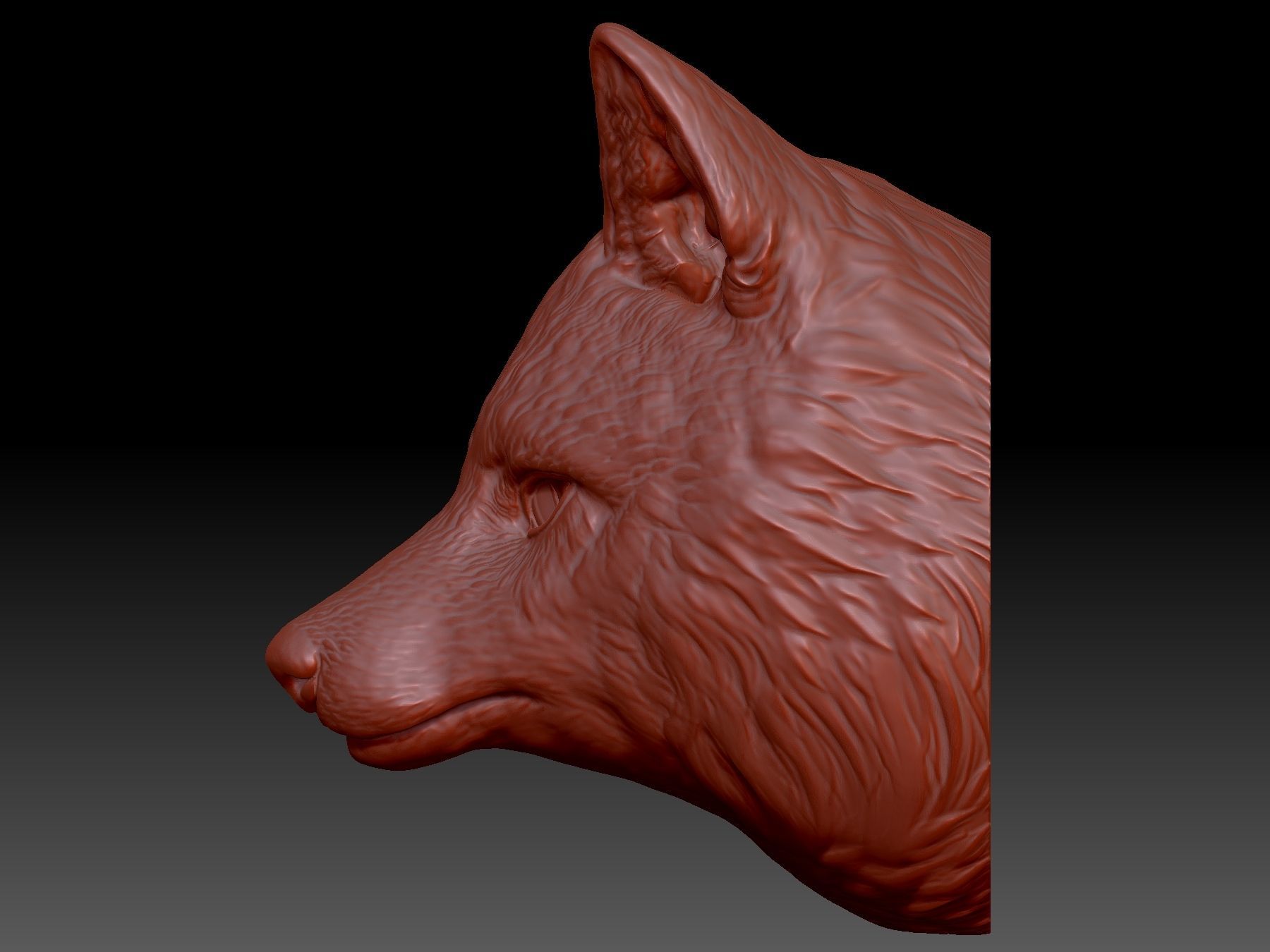 Fox Head 3D print model_1