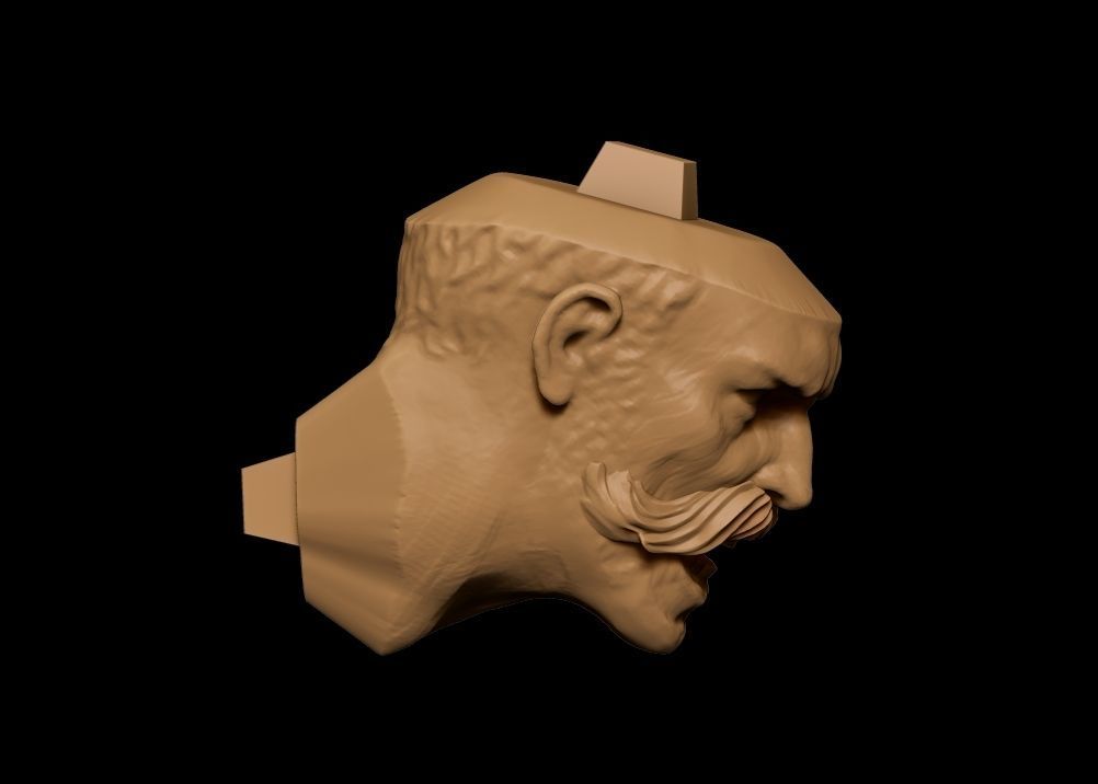 Realistic Rowdy Dallas Cowboys Mascot - NFL - Football  3D print model_30