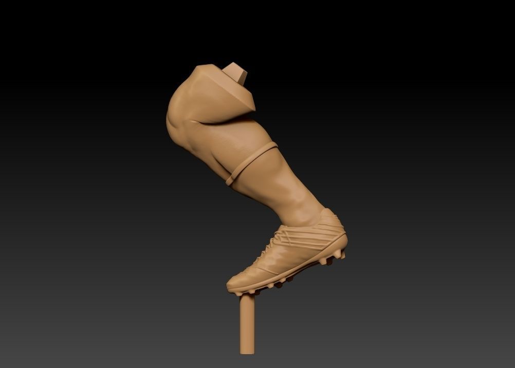 Realistic Rowdy Dallas Cowboys Mascot - NFL - Football  3D print model_25