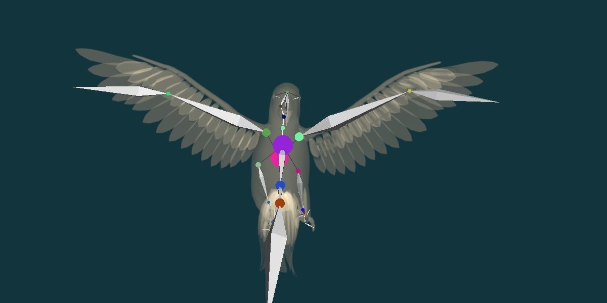 Sun Conures Parakeet Bird Low-poly 3D model_22