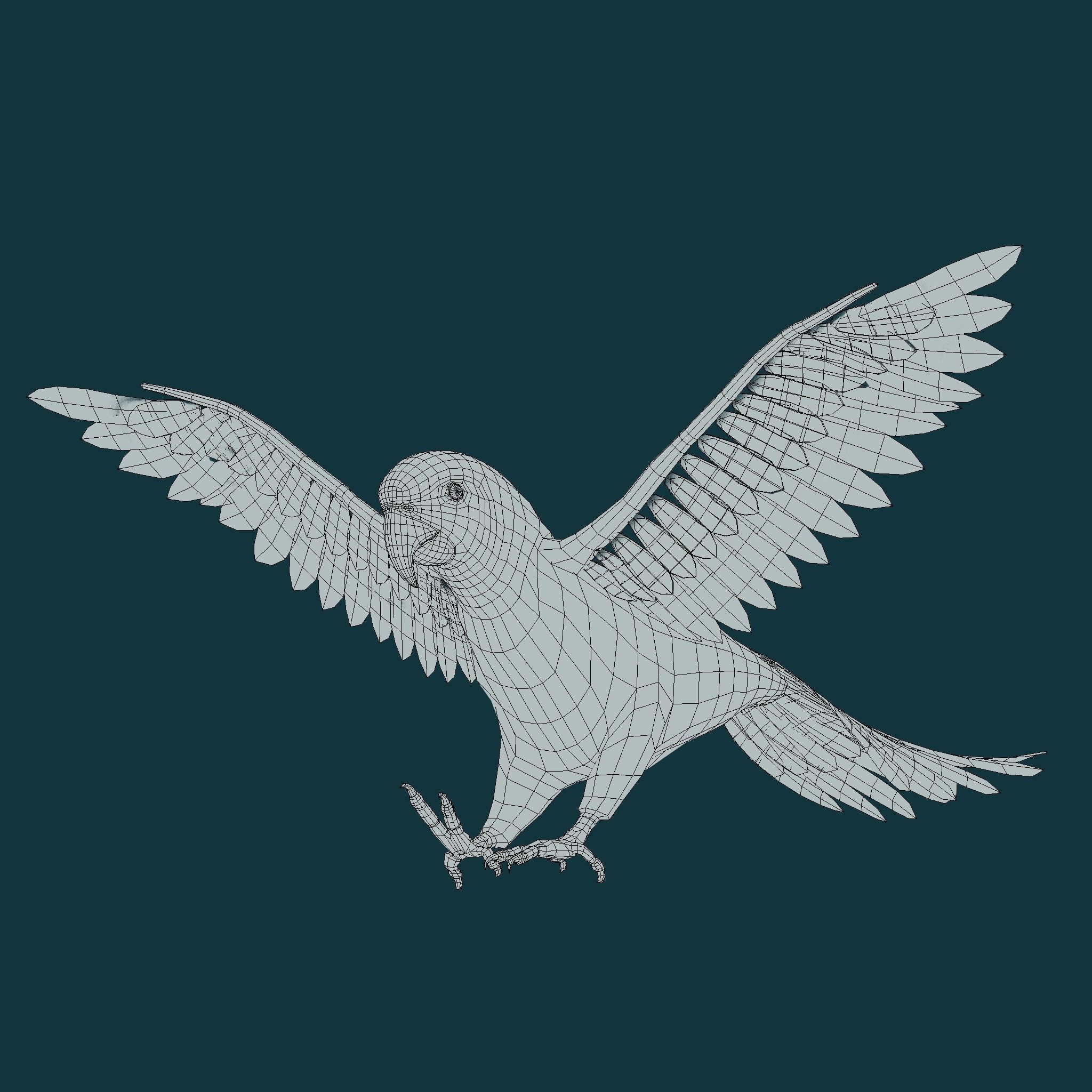 Sun Conures Parakeet Bird Low-poly 3D model_20