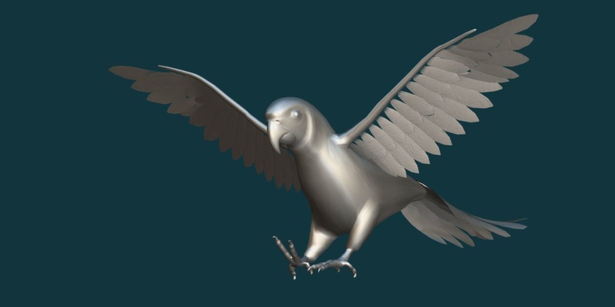 Sun Conures Parakeet Bird Low-poly 3D model_12