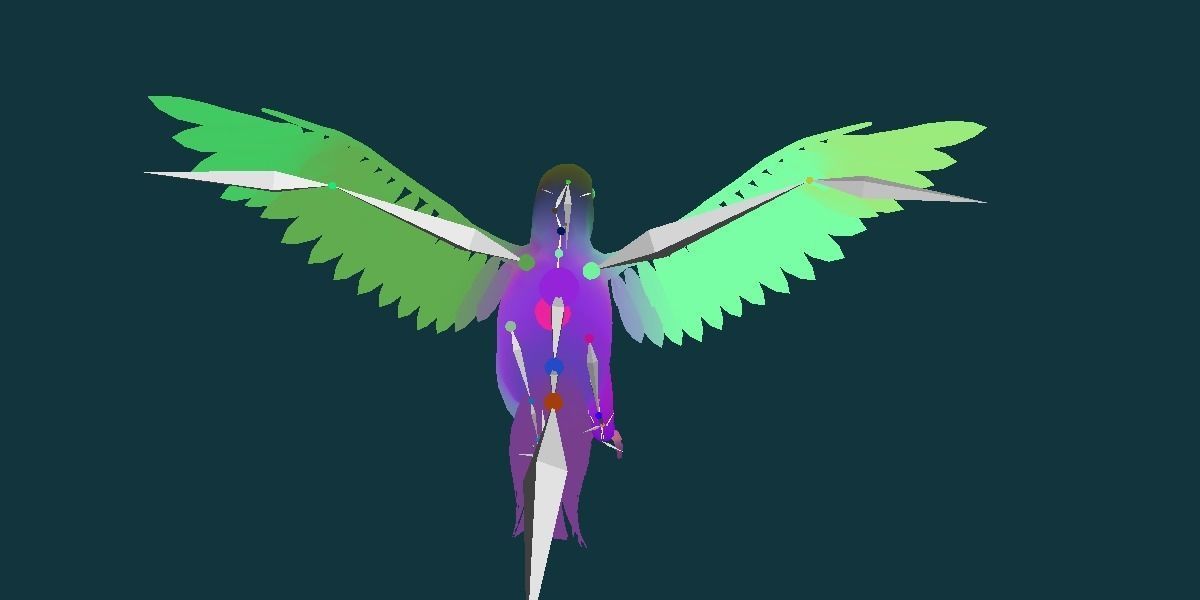 Sun Conures Parakeet Bird Low-poly 3D model_23