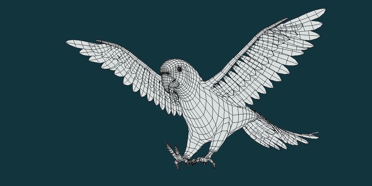 Sun Conures Parakeet Bird Low-poly 3D model_13