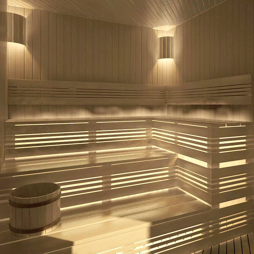 sauna Free 3D model_0