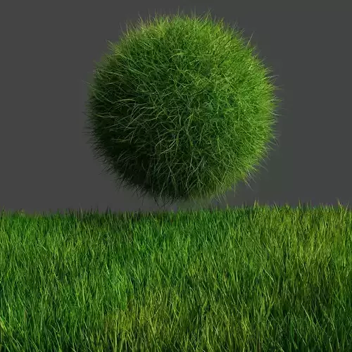 Grass Material in blender